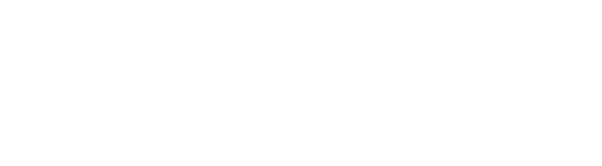 Électro Bio-mag